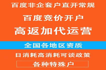 搜索引擎营销（SEM）成功案例详解